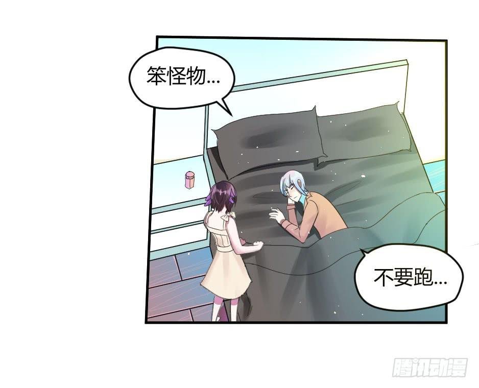 19.如果老虎会撒娇
