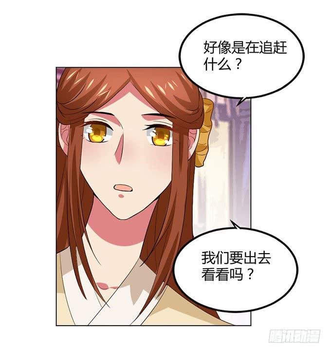 赤狐作祟