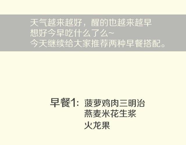 第11期 菠萝鸡肉三明治
