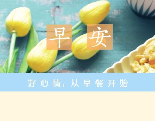 第13期 沙拉鸡蛋面包