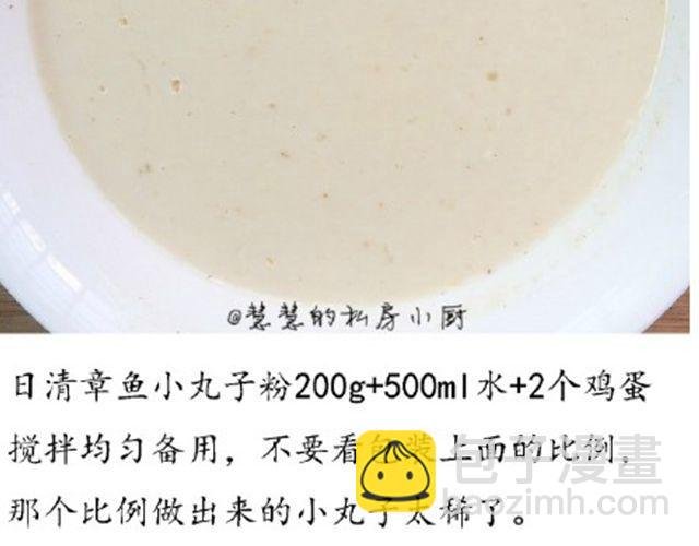 第46期 章鱼小丸子