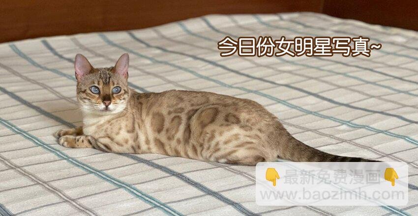 010 见家长？！