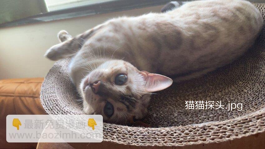 012 寝室冲突