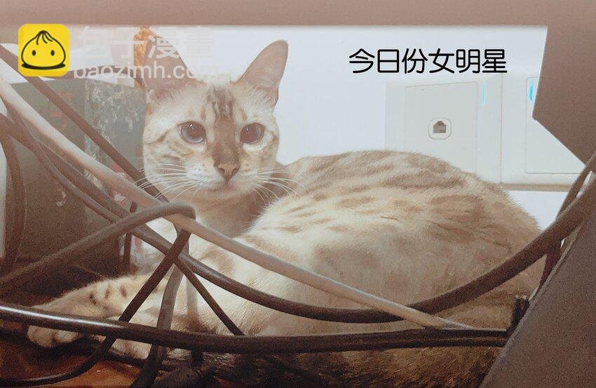 015 他的温柔，令我忍不住想要靠近