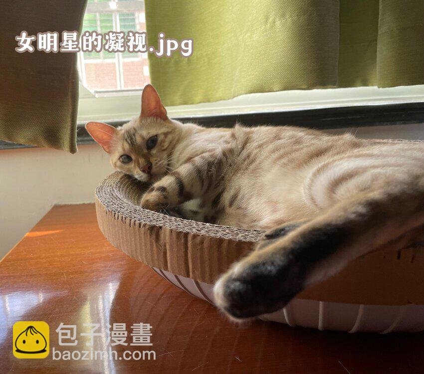 016 觉晓哥，我脸疼……