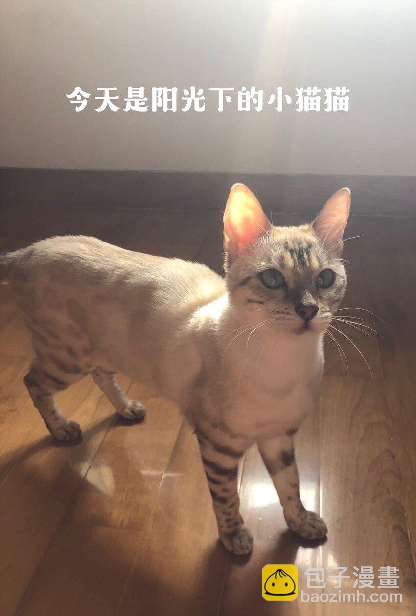 018 劲野，今天我酷吗？