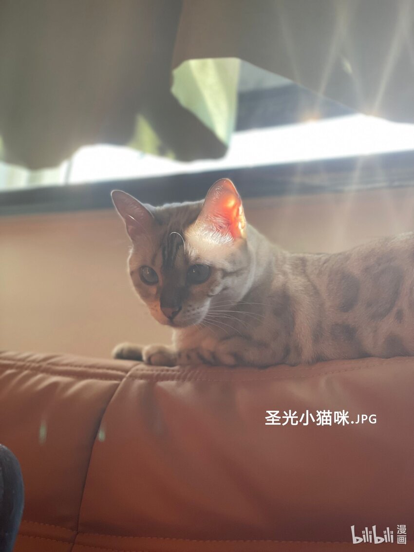 019 觉晓真的挺喜欢你的