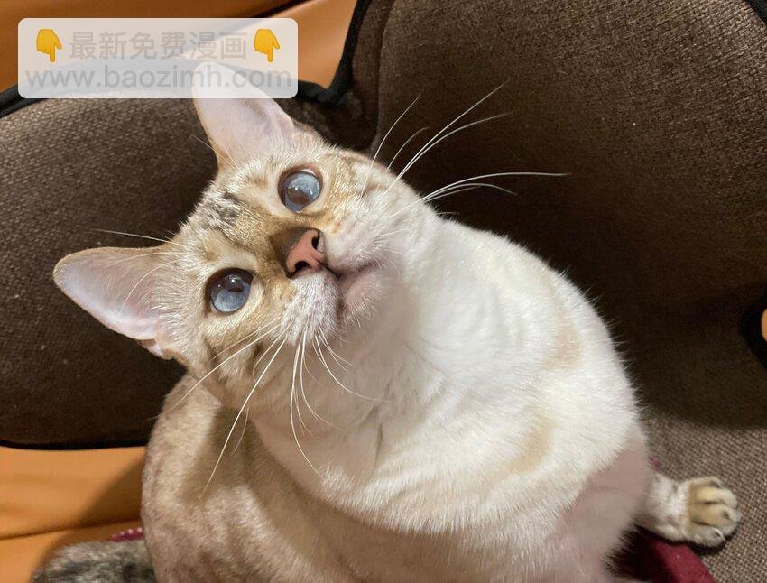 020 今晚要不要一起睡？