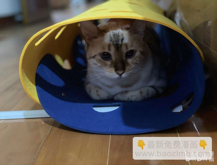 020 今晚要不要一起睡？