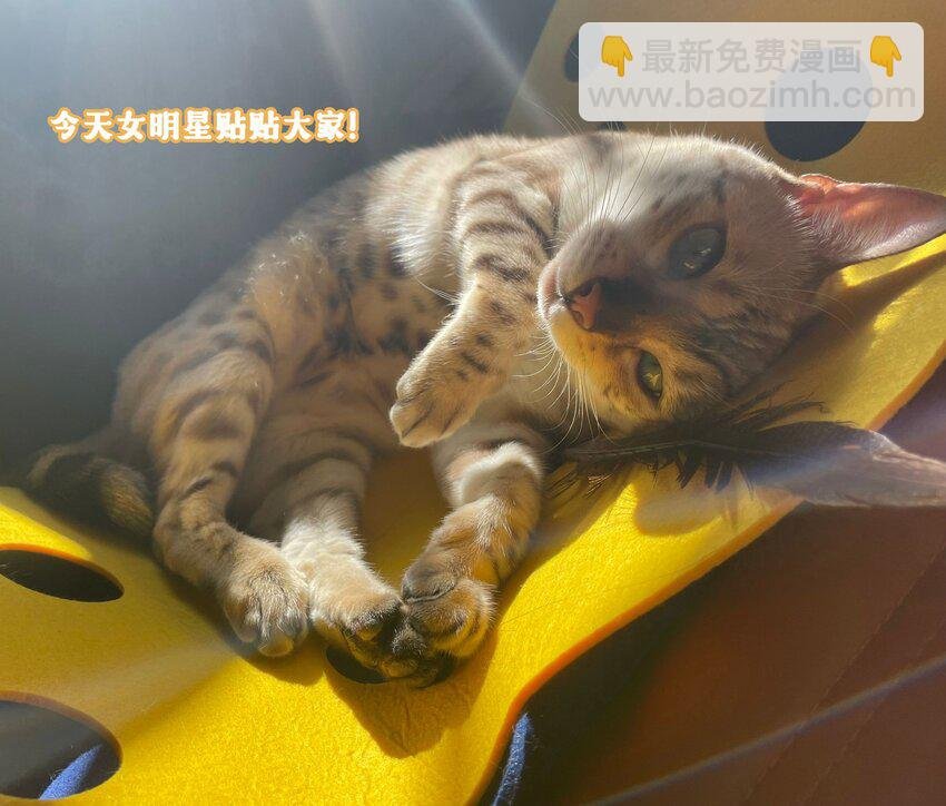 022 你喜欢抱着东西睡啊