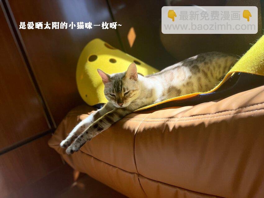 024 觉晓哥很讨女生喜欢吗