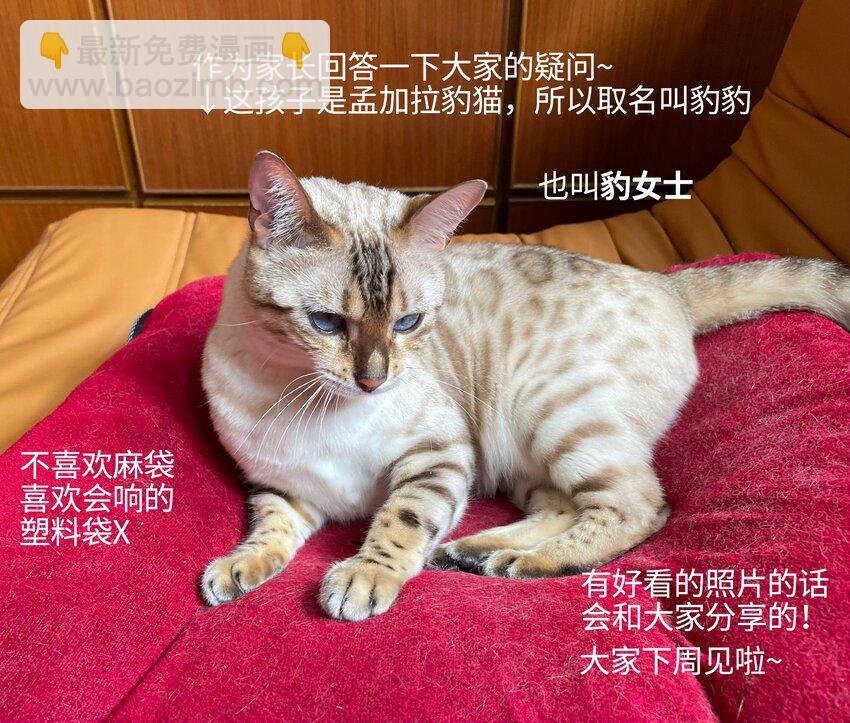 003 他身上好香
