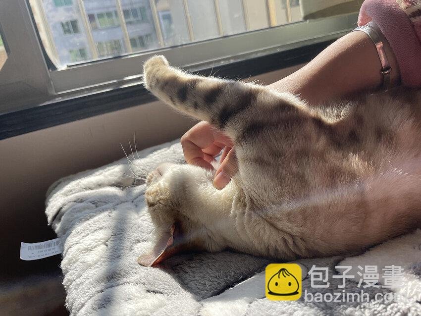 36 我只在意你