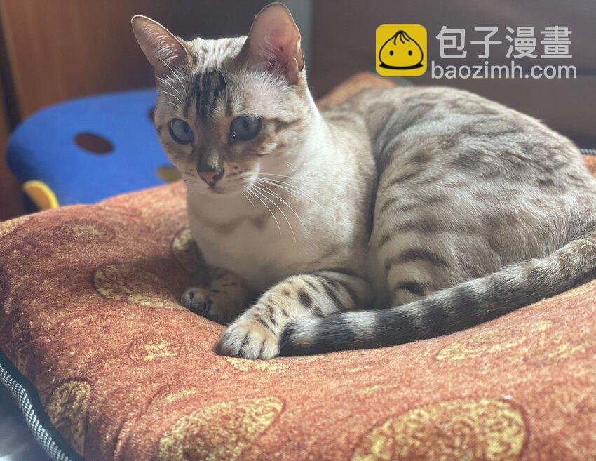 039 为什么会喜欢我？