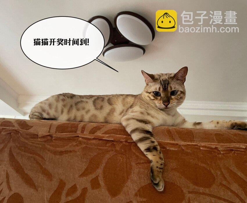 004 他就像猫咪一样