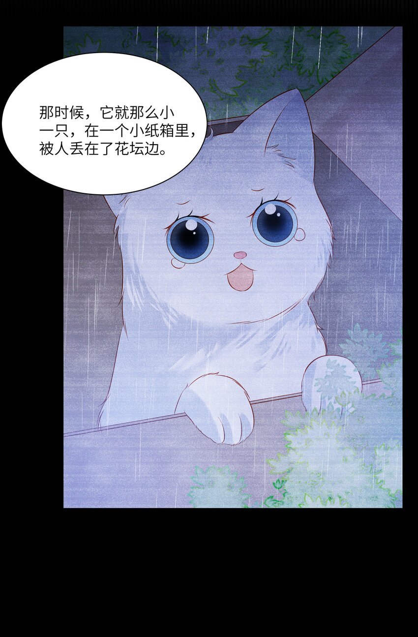 005 新手奶爸