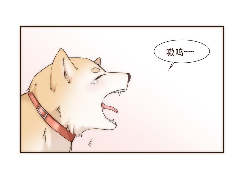 035 反击战的序幕