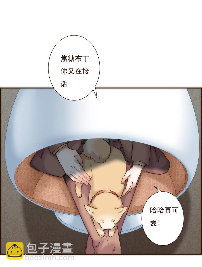 035 反击战的序幕