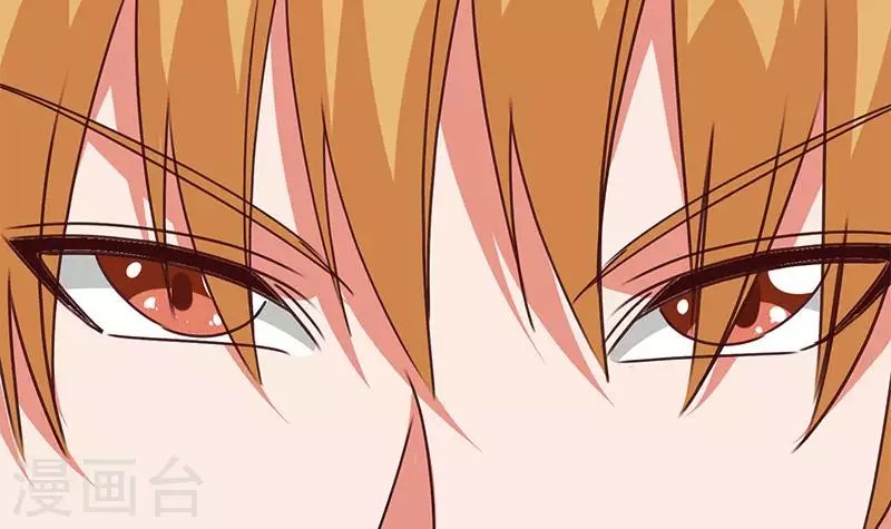 第21话 不凡与狗不得入内