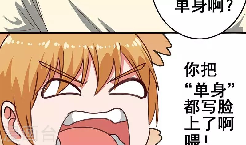 第37话 单身狗的忧伤