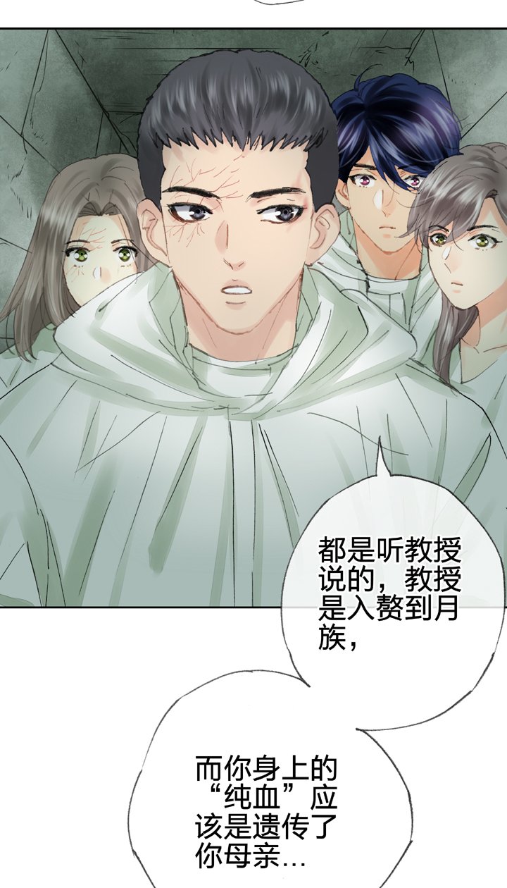 第四十回 下