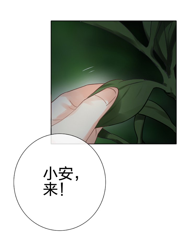 第五十二回 下