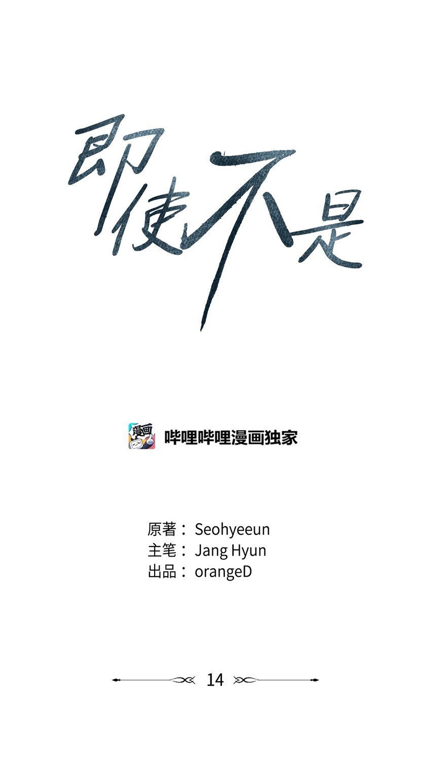 14 你说不是就不是