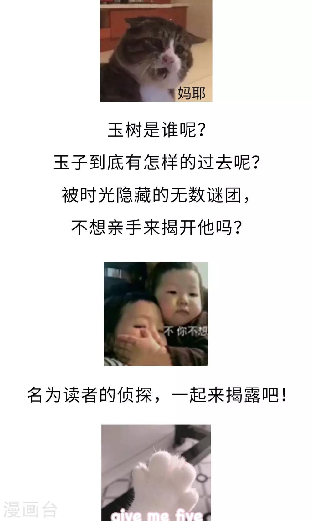 第14话 玉子的过去