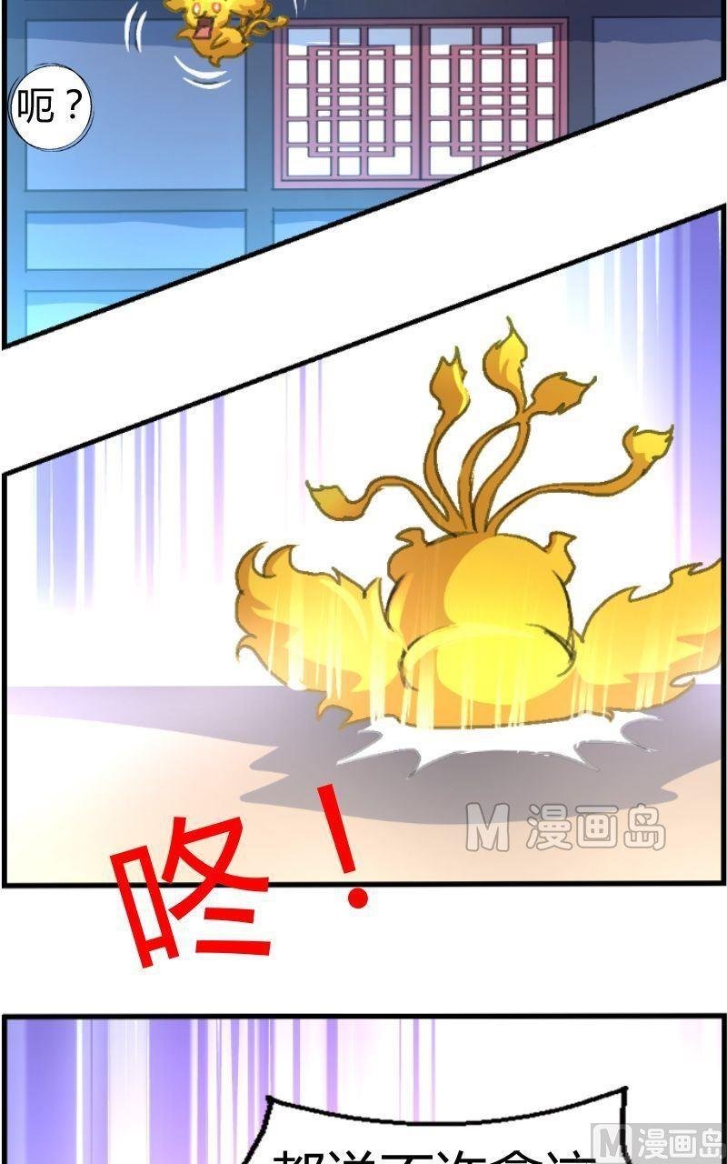 第14话 地瓜再归来