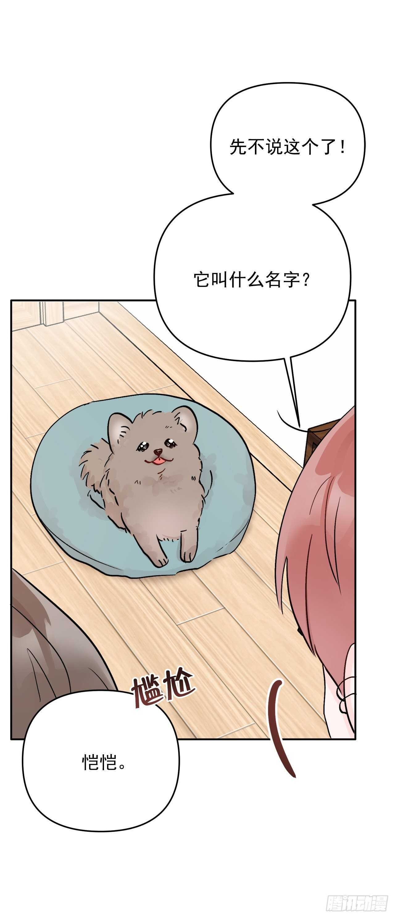 13.泽宇