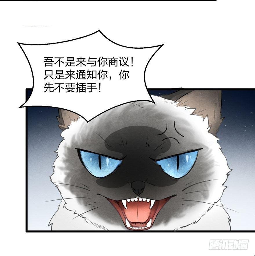 为抢男主，黑脸猫竟出口成（）？