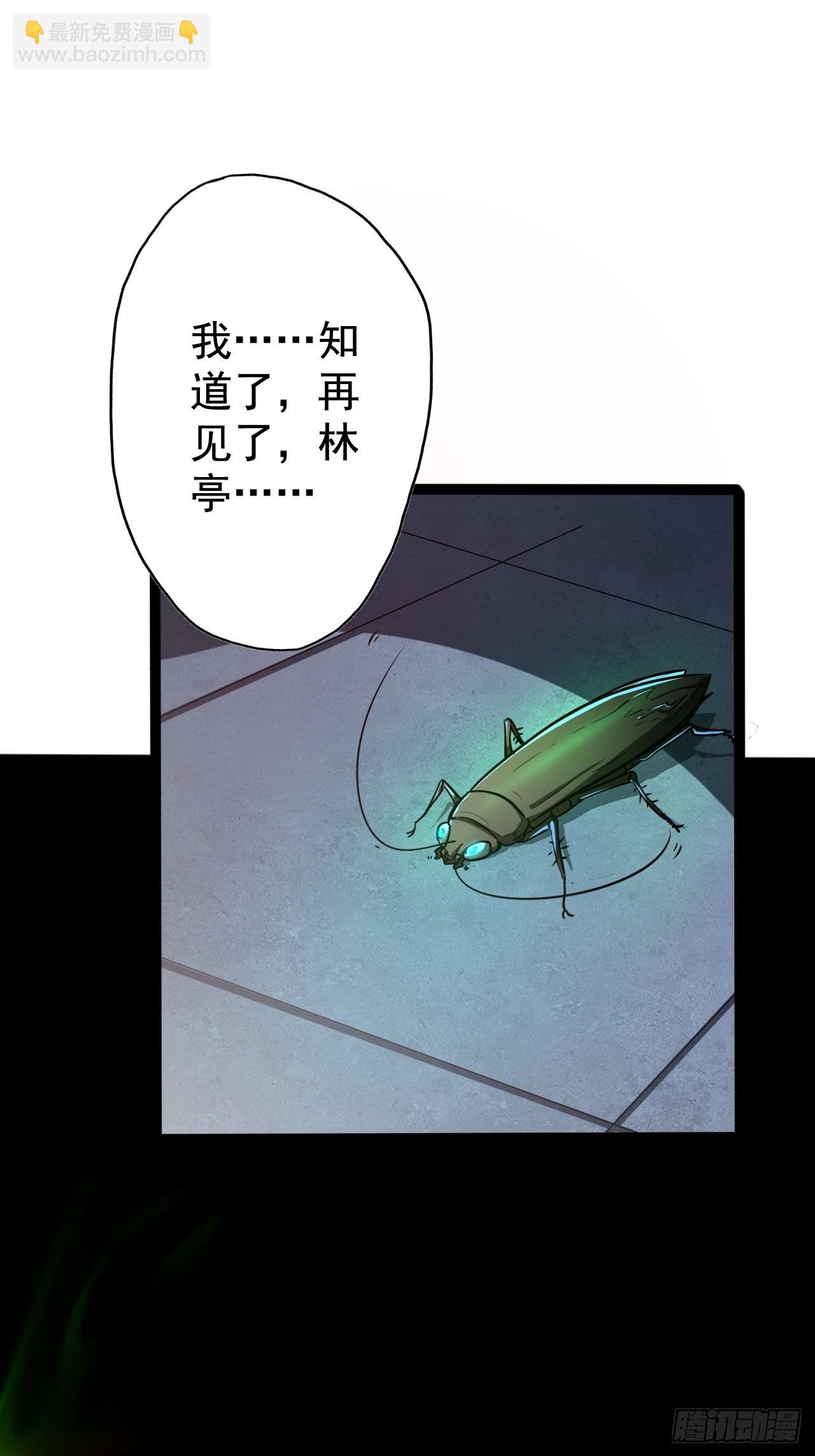 第十五话 猪队友
