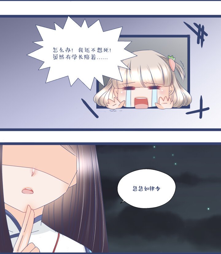 12 危险!来自豆豆的袭击