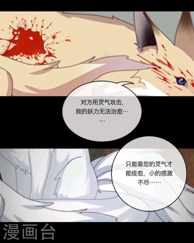 第14话 灵狐