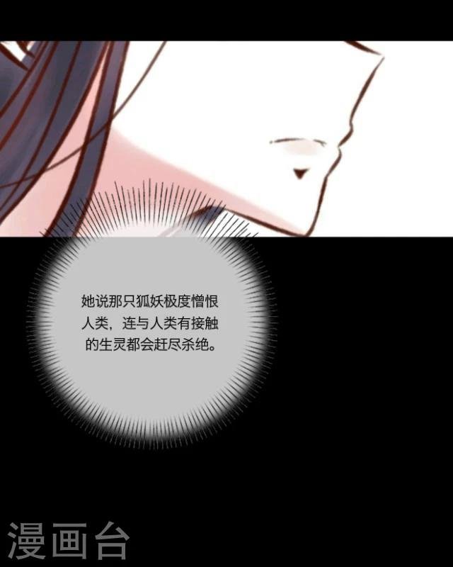 第14话 灵狐