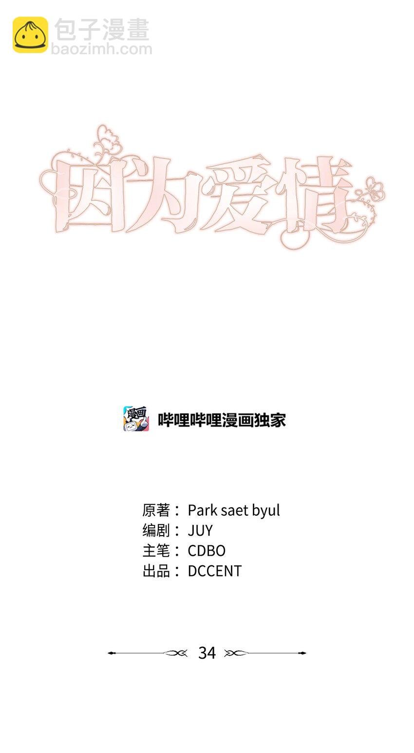 34 所属公司