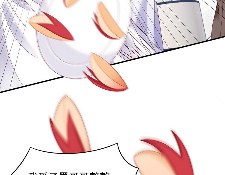 第3话 网红鲜肉营业中！