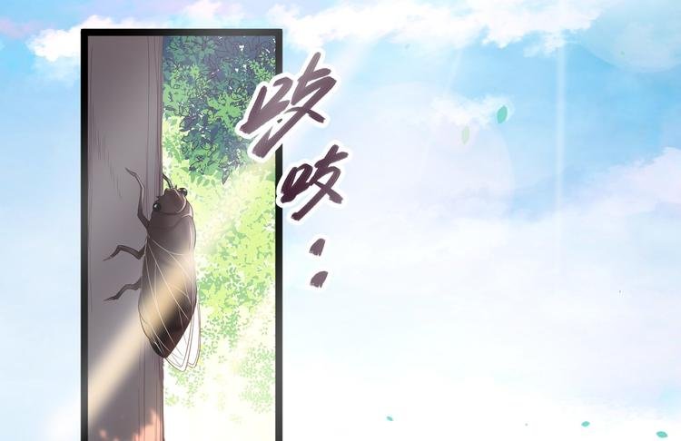 第33话 采草药的小阿皎