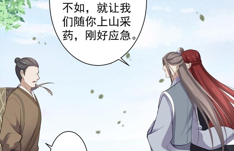 第41话 千年灵芝
