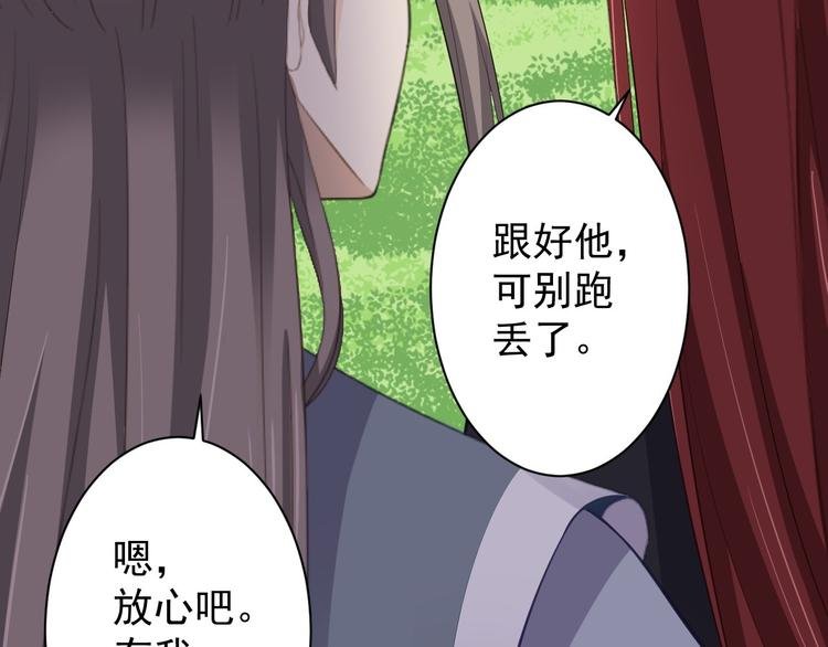 第41话 千年灵芝