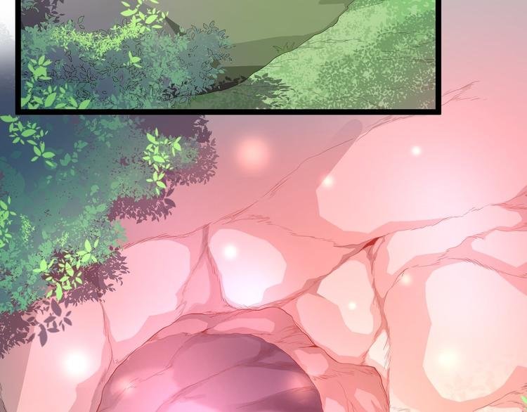 第41话 千年灵芝