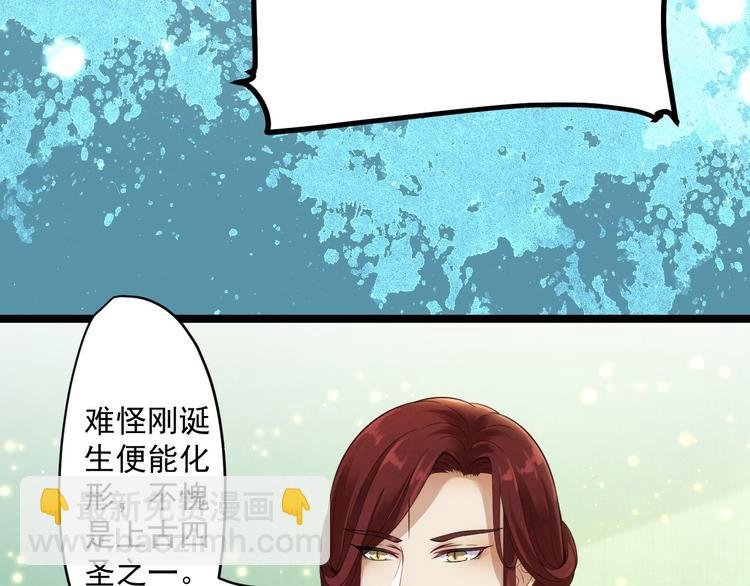 第4话 萌崽
