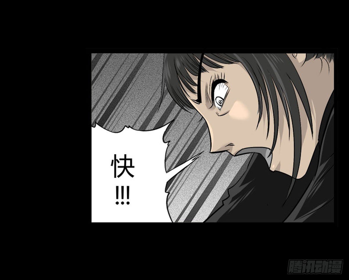第54话 完整体凤蝶