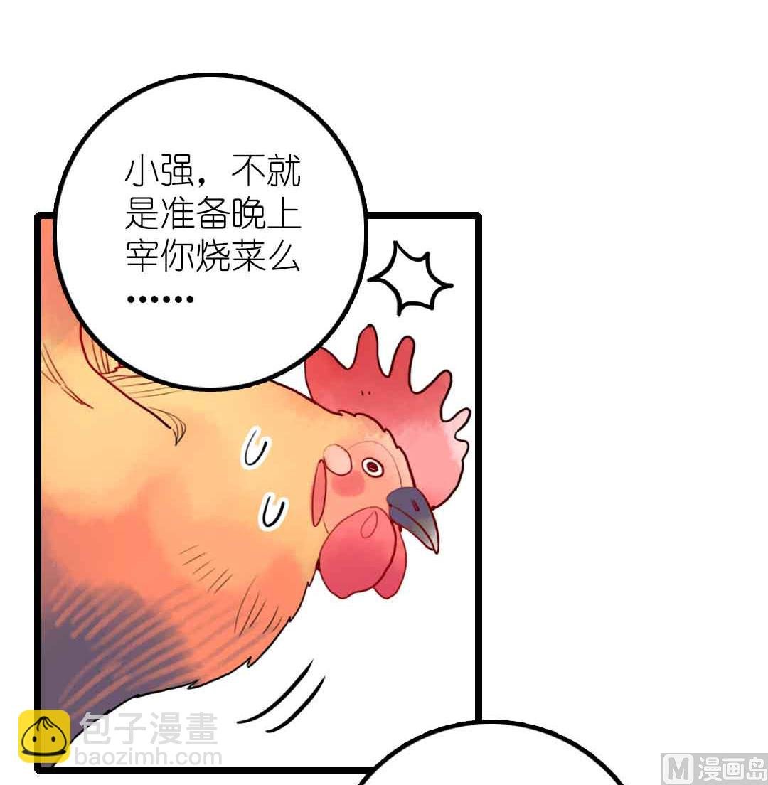 第19话 枫林镇郊的老奶奶 1