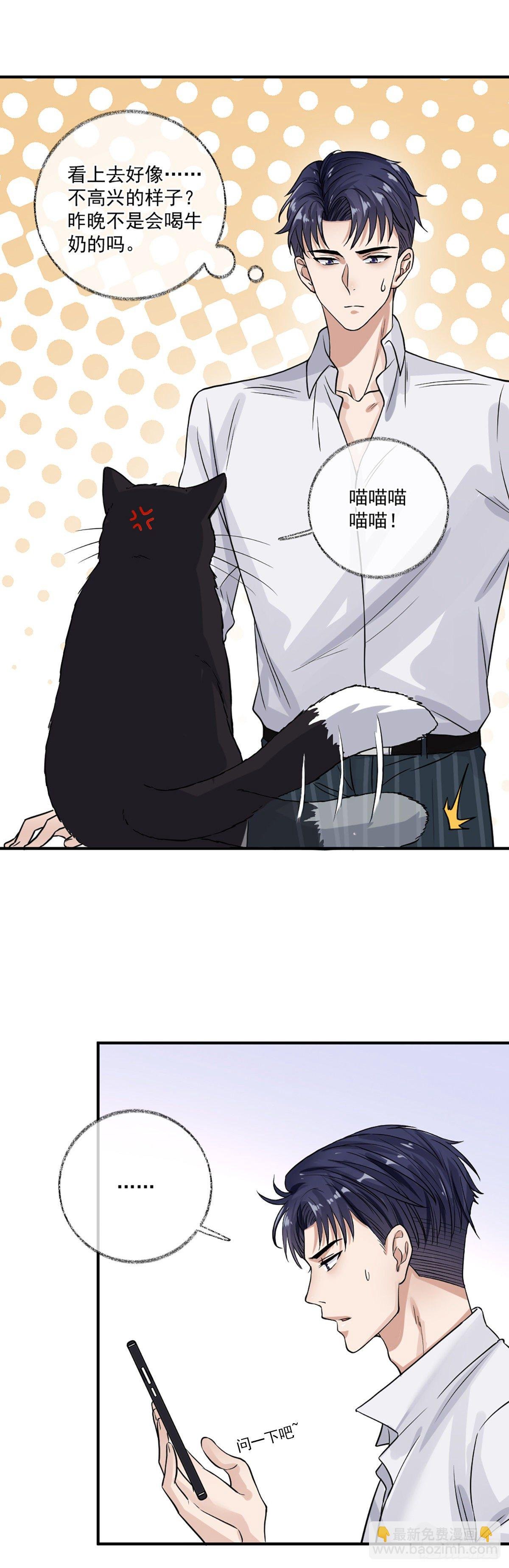 我要吃肉喵~