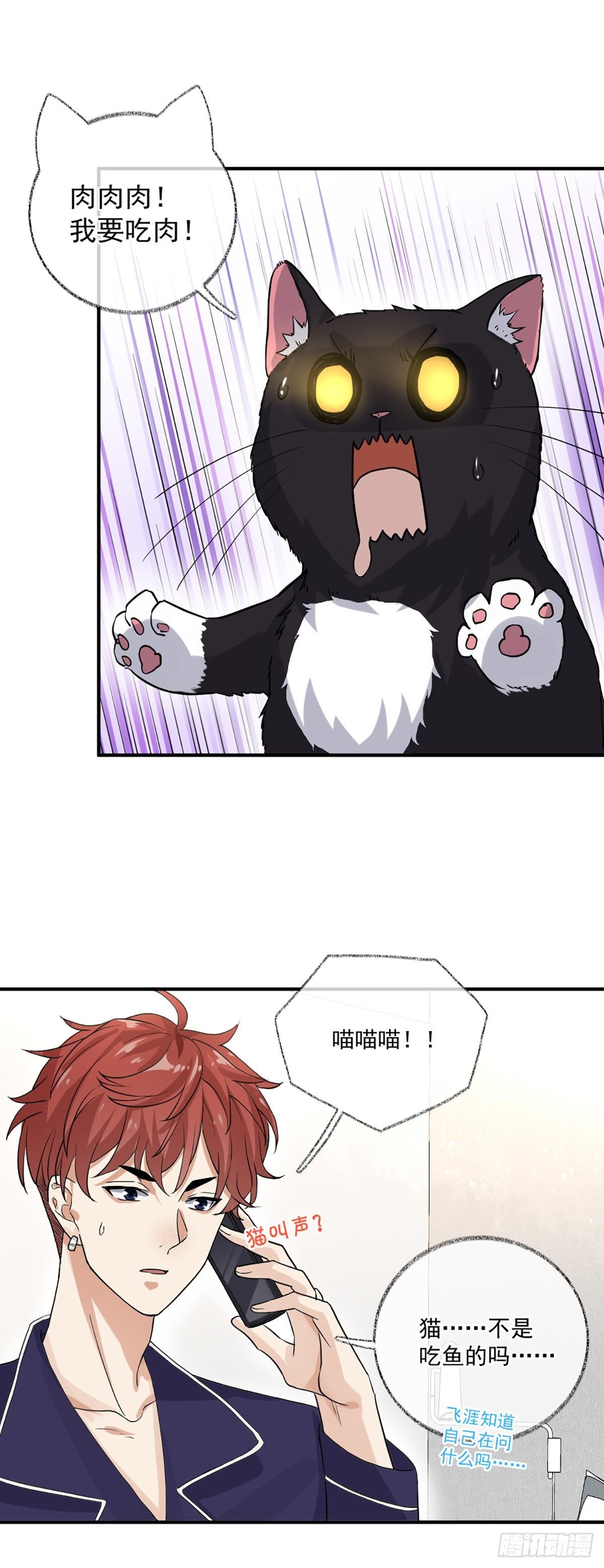 我要吃肉喵~