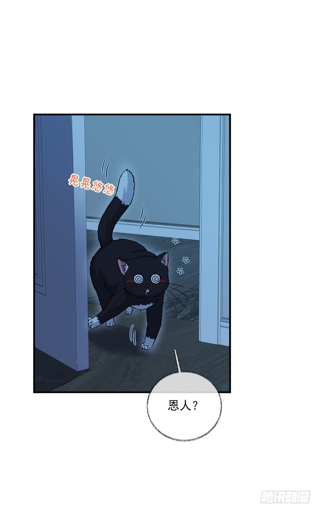 再次相见喵~