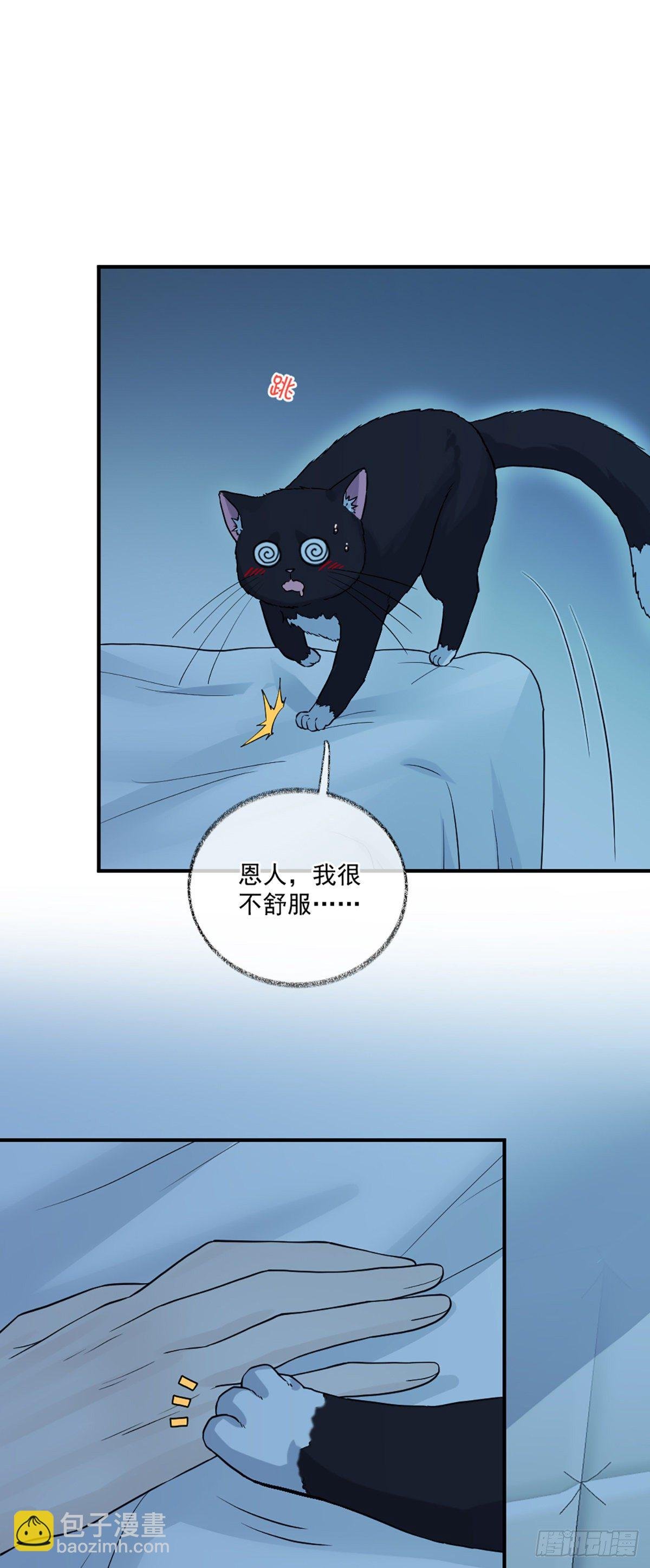 再次相见喵~