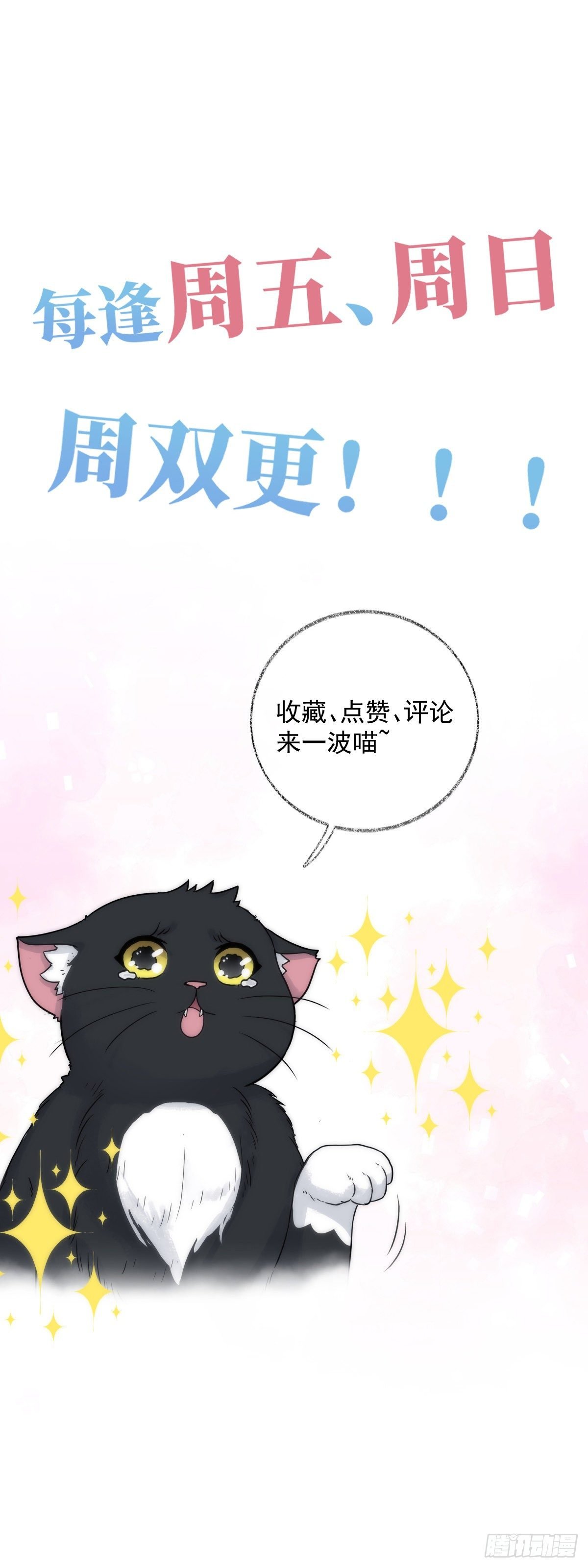 再次相见喵~