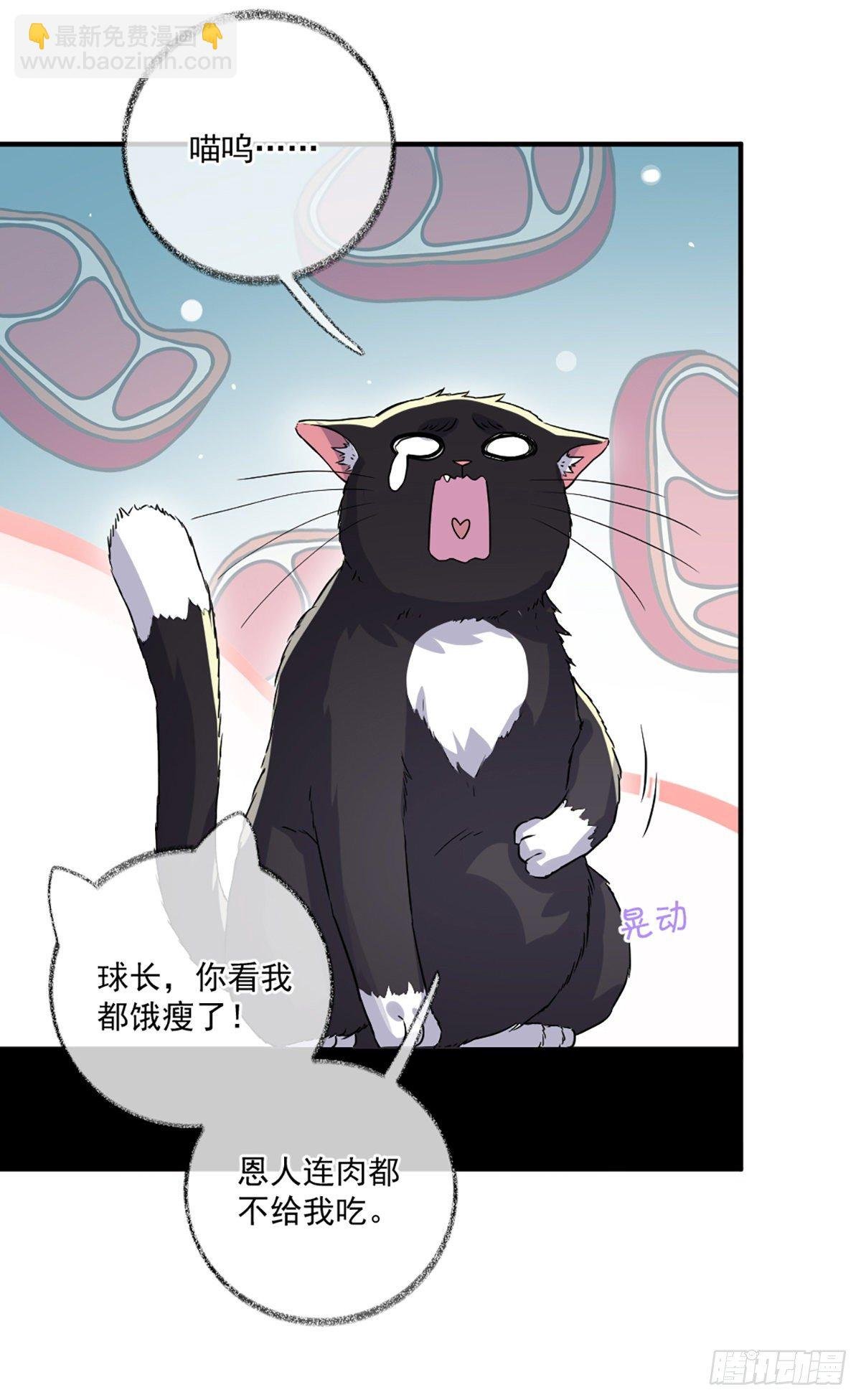你是这样的恩人喵~